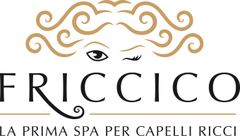 logo-friccico